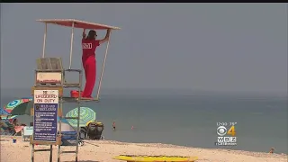 Two More Shark Sightings Prompt Warnings At Cape Cod Beaches