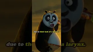 Kung Fu Panda Mistakes Fans Didn't Notice #shorts