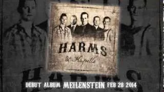 HARMS & KAPELLE Meilenstein - Album Trailer 1