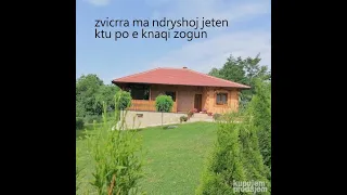 ZVICRRA MA NDRYSHOI JETEN PO E KNAQ ZOGUN CDO DITE