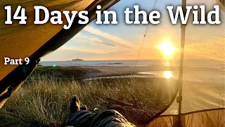 14 Days in the Wild - Solo Backpacking in the Scottish Highlands - Cape Wrath Trail Part 9