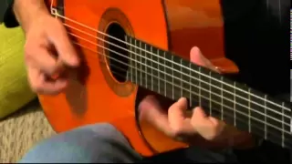 Al Di Meola "Al's Guitar Tips～ギター講座"