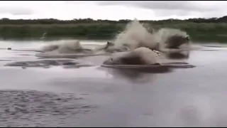 MONSTRO DO MAR ATACA PESCADORES NO AMAZONAS