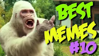 BEST MEMES | BECT CUBE COMPILATION #12