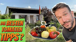 Gartenrundgang und Pflanzen im Juni | Was sind die besten Tipps für den Anbau von Tomaten?