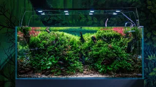 360l Nature Aquarium Scaped By Pavol Kulanda.