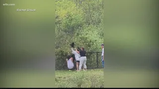 Group caught on camera pulling bear cubs from tree for pictures