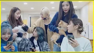 welcome to dreamcatcher's live part 2 🥰 드림캐쳐 라이브 환영합니다~ 2편