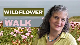 Slow Living In Wales Vlog, Coastal Wildflowers