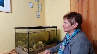 Froschprojekt Teil 22