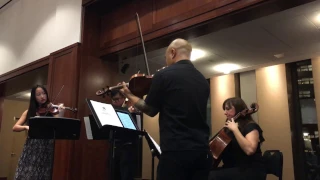 43% Burnt by Dillinger Escape Plan - Performed by Seven)Suns String Quartet