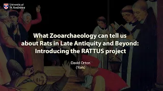 What Zooarchaeology can tell us about Rats in Late Antiquity and Beyond..