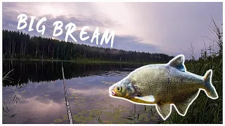 FLOAT FISHING FOR BREAM ON A MYSTERIOUS LAKE(BALTICS)