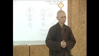 (11) Rebirth, Reincarnation or Continuation? | A Teaching on Karma by Thich Nhat Hanh, 2009-06-21