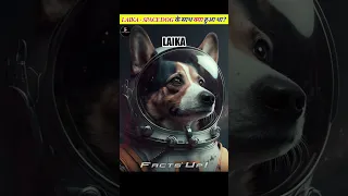 Space में Laika के साथ क्या हुआ था? #shorts