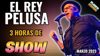 El Rey Pelusa - Presentación Nuevo Disco (Marzo 2023) En Vivo