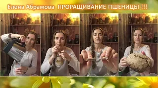 Елена Абрамова проращивание пшеницы и изделия из нее   хлеб и хлебцы