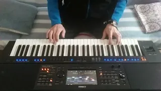 Lian Ross " Say You'll Never "  cover Yamaha  PSR SX700