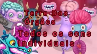 Terra Dos Órgãos Todos os sons individuais (MSM TLL)