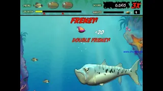 Feeding Frenzy (Level 5,6&7)