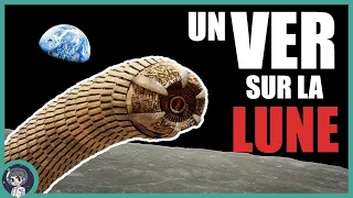 Oui Oui, Un VER des SABLES (mécanique) sur la LUNE !  - On Se l'Demande #19 - Le JDE