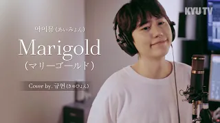 아이묭 (あいみょん) - Marigold (マリーゴールド) Cover by 규현 (きゅひょん)