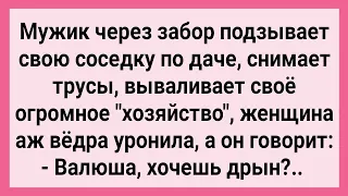 Мужик Показал Хозяйство Соседке по Даче! Сборник Свежих Смешных Жизненных Анекдотов!