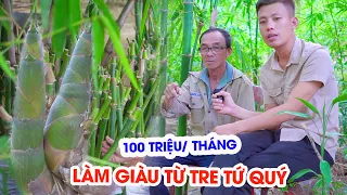 THU LÃI TRÊN 100 TRIỆU MỖI THÁNG NHỜ TRỒNG MĂNG TRE TỨ QUÝ ĐÀI LOAN TẠI NINH THUẬN