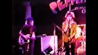 The Go-Go's - Live at Peppermint Lounge (New York 1981)(DHV 2011)