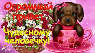 🌺 Огромный Привет Чудесному Человечку! Позитивчик для друзей! ❤️