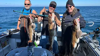 Deep Water Ling Cod and Coho 2023@ SteelySalmonVision