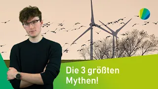 Mythen der Windenergie! | Strom mit Zukunft? | green:screen