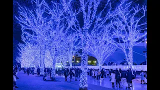 Shibuya Yoyogi Park Christmas 2022 Tokyo Japan
