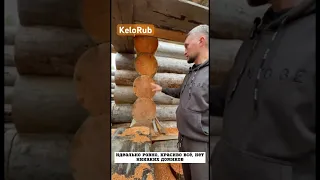 Качество рубки наших срубов из Карельской сухостойной сосны Кело! #кело #сруббани #срубдома