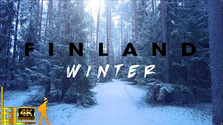 16 Minutes Walking in Snow 🌲 Lemmenlaakso, Finland