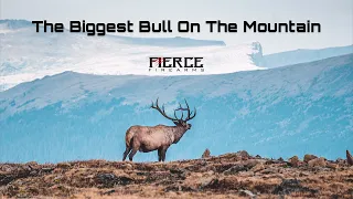 The Biggest Bull On The Mountain | A Utah Limited Entry Elk Hunt