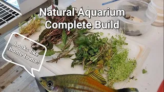 Natural Aquarium - Complete Build