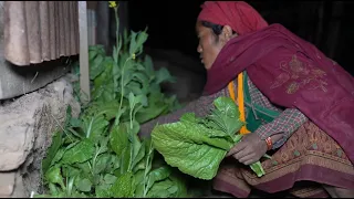 Collecting technology of  green vegetables by using primitive technology || Village life