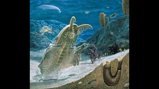 La vida antes de los dinosaurios - Animales del Cámbrico