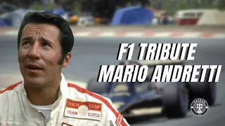 F1 Tribute Mario Andretti