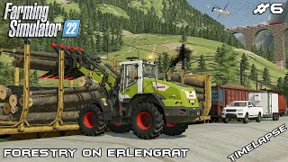 Loading TRAIN with everything - 220.000 € | Forestry on ERLENGRAT | Farming Simulator 22 | Episode 6