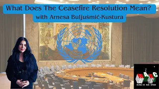 What Does the UN Ceasefire Resolution Mean? with Arnesa Buljušmić-Kustura