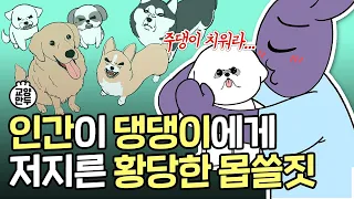 인간들이 개에게 저지른 황당한 몹쓸짓들│강아지와 인간 사이에 숨겨진 흑역사