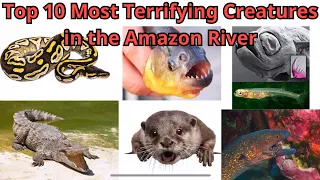 Top 10 Most Terrifying Creatures in the Amazon River