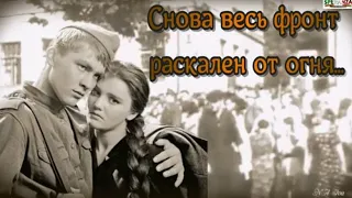 Снова весь фронт раскален от огня