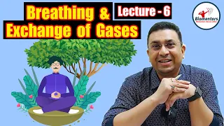 Breathing & exchange of gases l Lecture 6 l Biology l NEET