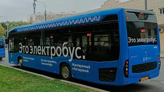 Московские электробусы