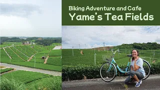 Solo Biking in Japan | Tea Fields in Yame, Fukuoka! | 八女中央大茶園、福岡、サイクリング
