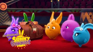 As Aventuras de Sunny Bunnies | A Maleta do Mágico | Series 1 | Desenhos Animados Infantis