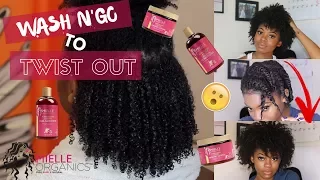 Turn a Wash N’ Go Into A Twist Out!! | Mielle Organics NEW Pom & Honey Line